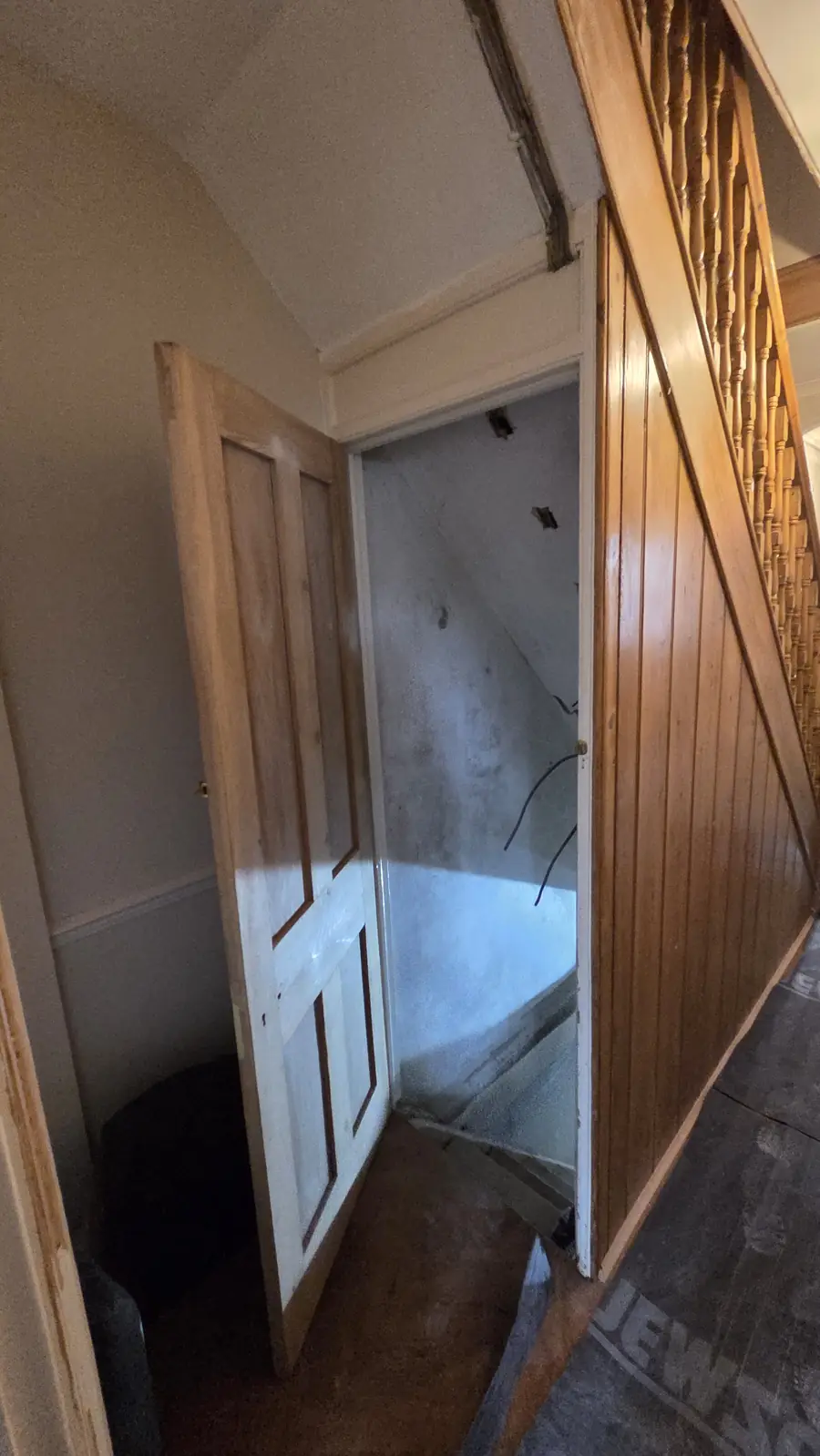 An old cellar door under the stairs opening onto bare damp walls, before the survey and conversion